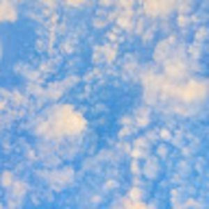 Meet your Posher, Jade